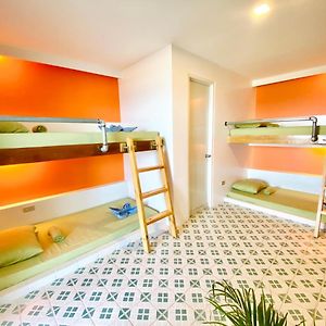 Premium Quadruple Room